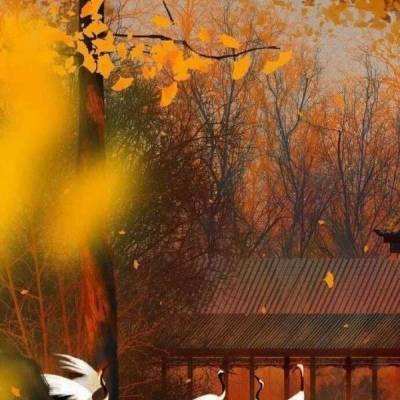 国家外汇管理局公布2025年末中国银行业对外金融资产负债数据